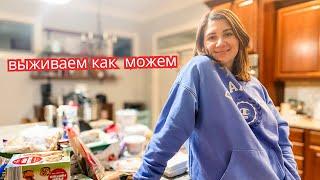 ЦЕЛАЯ ТЕЛЕЖКА ПРОДУКТОВ | Кризис в США  Продукты дорожают Обзор