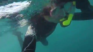 Snorkeling with GoPro 4 Silver