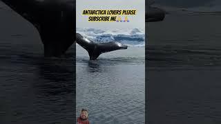 #Antarctica# humpback# whale # #short #feet #trending #short #viral #video #YouTube #viral #trending