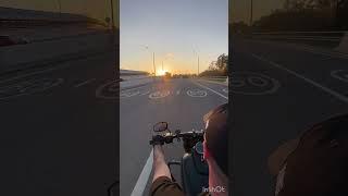 Жизнь прекрасна…#мото #harleydavidson#GrafBalas#питбульграф