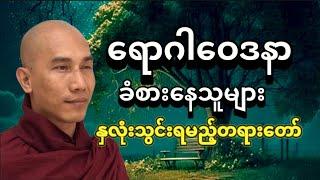 ကျန်းမာရေးနှင့်ဘဝခရီး