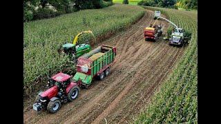 Maisernte '24 • 2x Maishäcksler • John Deere 7350i & Claas Jaguar 960 • 7x Abfahrer • Case Magnum