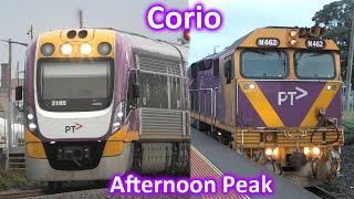 Trains at Corio during Peak Hour; V/Line Passenger & Freight Trains