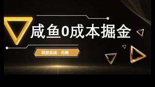 咸鱼0成本日赚1000项目介绍，免费赚钱项目，网赚项目，手机赚钱项目，咸鱼赚钱。