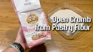 Sourdough Open Crumb from Pastry Flour | by JoyRideCoffee