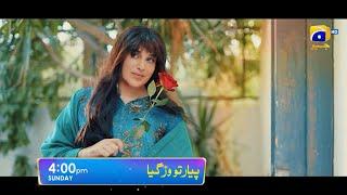 Pyaar Tou Warh Gaya Promo | Sunday at 4:00 PM | Har Pal Geo