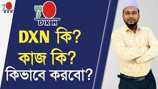 Dxn কি?Dxn এর কাজ কি? কিভাবে করবো? Dxn মানে কি? এই ব্যবসা কিভাবে চালু করবো? Dxn Bangla GIASUDDIN