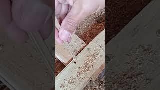 a termination #shorts #fyp #virals #woodworking #carpenter #diy