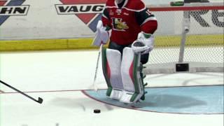 Be A Pro Goalie NHL 15 PS3 Epic Fail