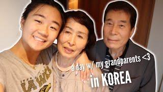 A DAY IN KOREA W/ MY GRANDPARENTS!! | seeing them for the first time in 4 years & spoiling them :))