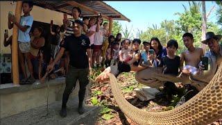 JUMBO COBRA NAKIPAG TAGUAN KAY COBRA PRINCE