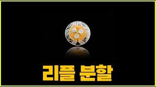 리플 액면분할 실시.. XRP 1,000,000 : 1 관련