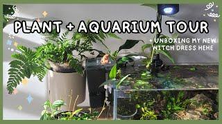  Plant + Aquarium Tour! 