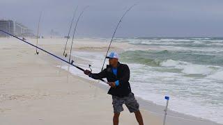 Best 4 Fishing Rigs for Surf Fishing!