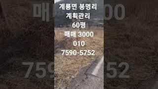 공주시 계룡면 봉명리  계획관리 60펭 매매 3000    매물번호 269 #공주시토지