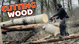 Making Chips Fly & Mastering Firewood Cutting - Adventures in the Woodyard