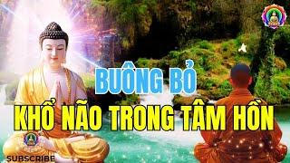 Buông Bỏ và Thanh Tịnh: Bí Quyết Đoạn Trừ Khổ Não Trong Tâm Hồn