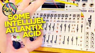 Intellijel ATLANTIX: No Talking Acid Test 