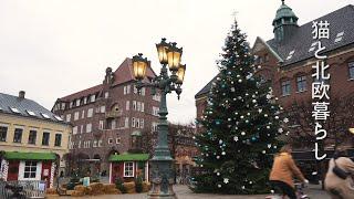 Scandinavian life  Christmas shopping in the city of Sweden / Pippi's house /Christmas tree