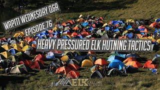 Heavy Pressure Public Land Elk Hunting Strategies