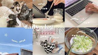 daily vlog ramadan: productive time! , sahur, cook with me, ngebuburit, cute cat, clean time