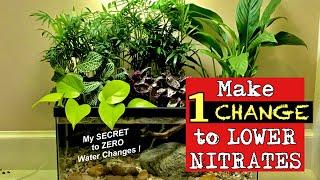 Make 1 change to lower nitrates NOW- my SECRET to ZERO Water Changes 