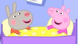 Delphine Donkey Comes to Visit  | Peppa Pig Official Full Episodes