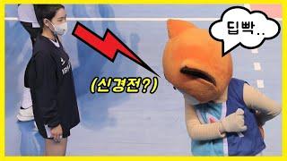 미녀 배구 선수와 마스코트의 불꽃 신경전 ㅋㅋㅋ [배구왕]