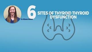 Six Different Areas Where the Thyroid Can Go Wrong