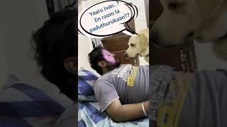 Daddy ya Adaiyalam theriyala......#chottu#dogs  #dogfunnyvideos#petanimals   #trending#funnyvideos