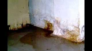 Basement Waterproofing Ottawa region