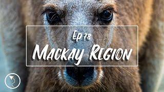 What to do around Mackay - Cape Hillsborough & Eungella - E78