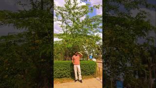 Turning over a new leaf  #Motivation #JU #BUP #Admission
