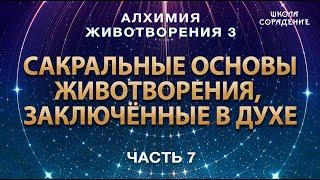 Сакральные основы животворения, заключённые в Духе #АлхимияЖивотворения3 #Гарат #дух #ЖивыеСеминары