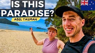 Is This New Zealand's Gold Coast? MOST AMAZING BEACHES At Abel Tasman National Park, Great Walk 