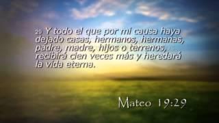 Reavivados por su Palabra - 20/11/2014 - Mateo 19