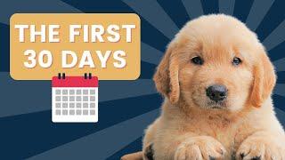 The First 30 Days: A Day-by-Day Guide to Your New Puppy