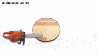 Tree Felling Back Cut Techniques By Husqvarna
