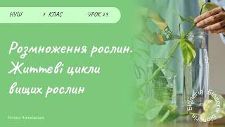 Розмноження рослин. Життєві цикли вищих рослин