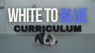 White to blue belt curriculum (Gracie Jiu-Jitsu Singapore)