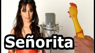 Camila Cabello - Señorita (Mr.Chicken cover)