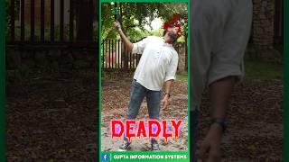 Most Deadly Gadget You can Buy Online #shorts #short