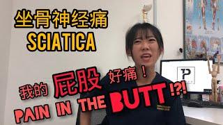 【PHYSIOTHERAPY | SCIATICA 】坐骨神经痛！为什么？！