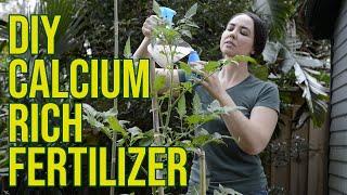 DIY Water Soluble Calcium Fertilizer Using Eggshells and Vinegar