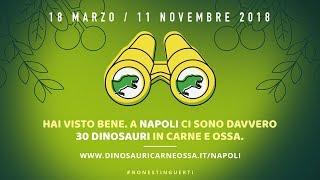 DINOSAURI IN CARNE ED OSSA - Cratere degli Astroni NAPOLI #nonestinguerti