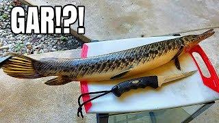 Catch and Cook GAR?! Very Suprising!