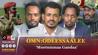 OMN Horn Odeessaalee Fulbaana 3, 2024