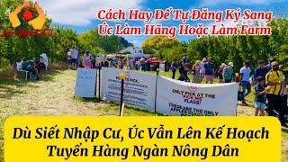 Úc Lên Kế Hoạch Tuyển Hàng Ngàn Nông Dân. Cách Hay Để Tự Đăng Ký Sang Úc Làm Hãng Hoặc Làm Farm.