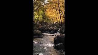 Serene Waterfall: Guided Meditation with Nature