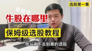 在牛股出现的地方集中操作是最好的选股方式！中国股市保姆级选股教程